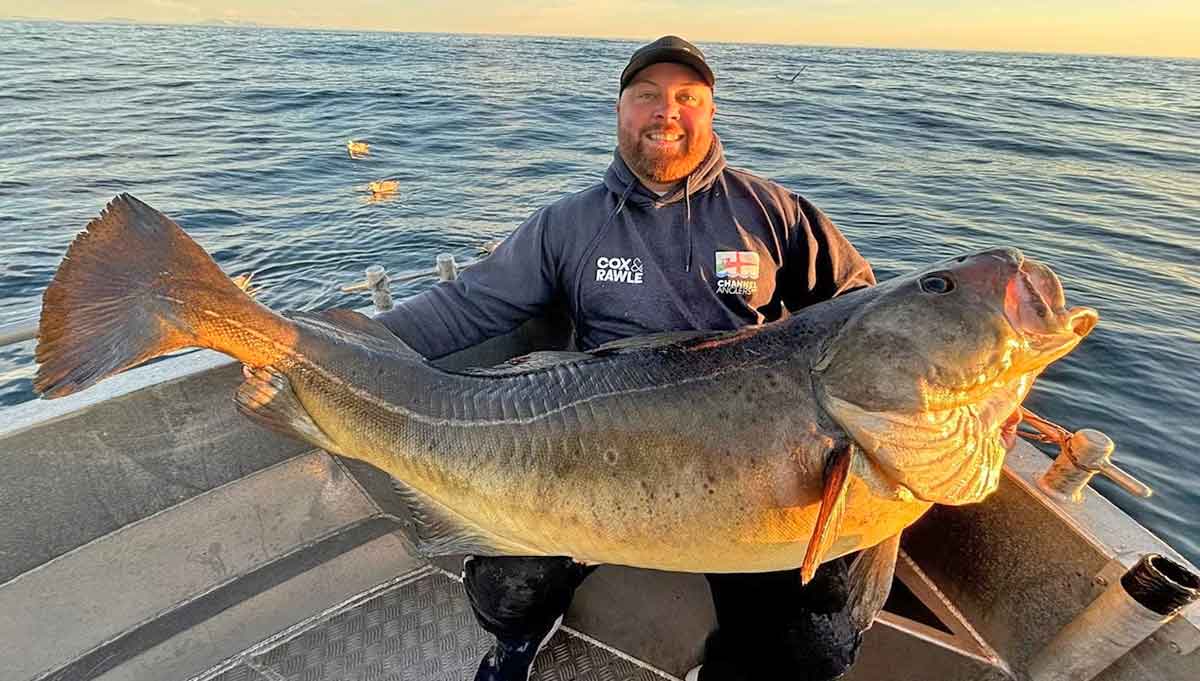 huge cod fish