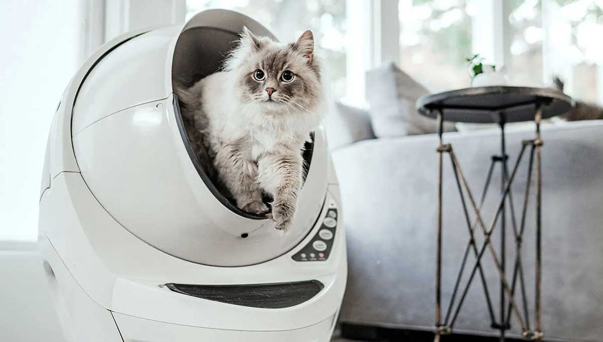 litter robot