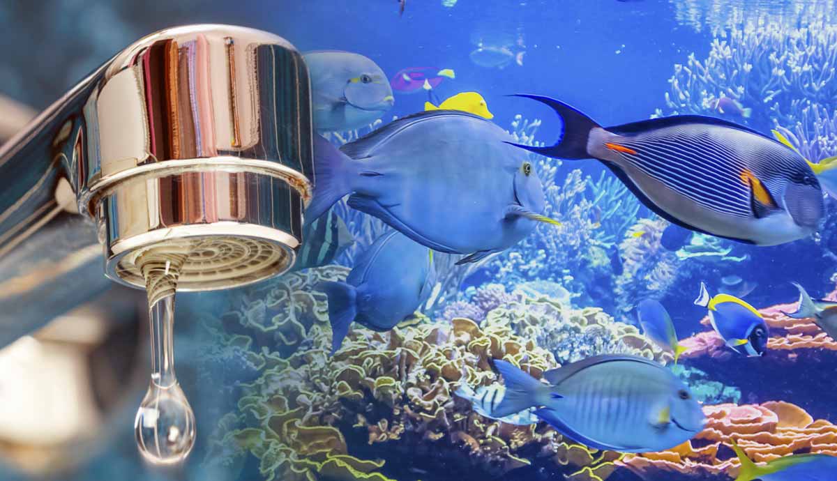can you use tap water to fill aquarium