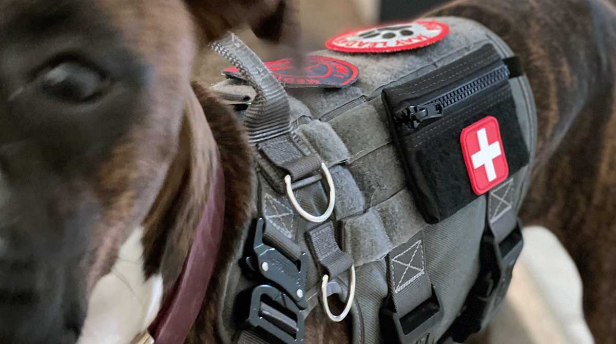 service dog medical travel kit