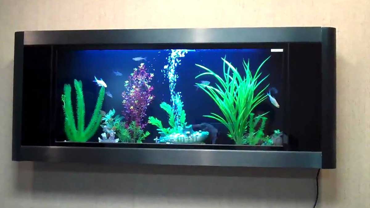 luxurious wall mounted fish tank