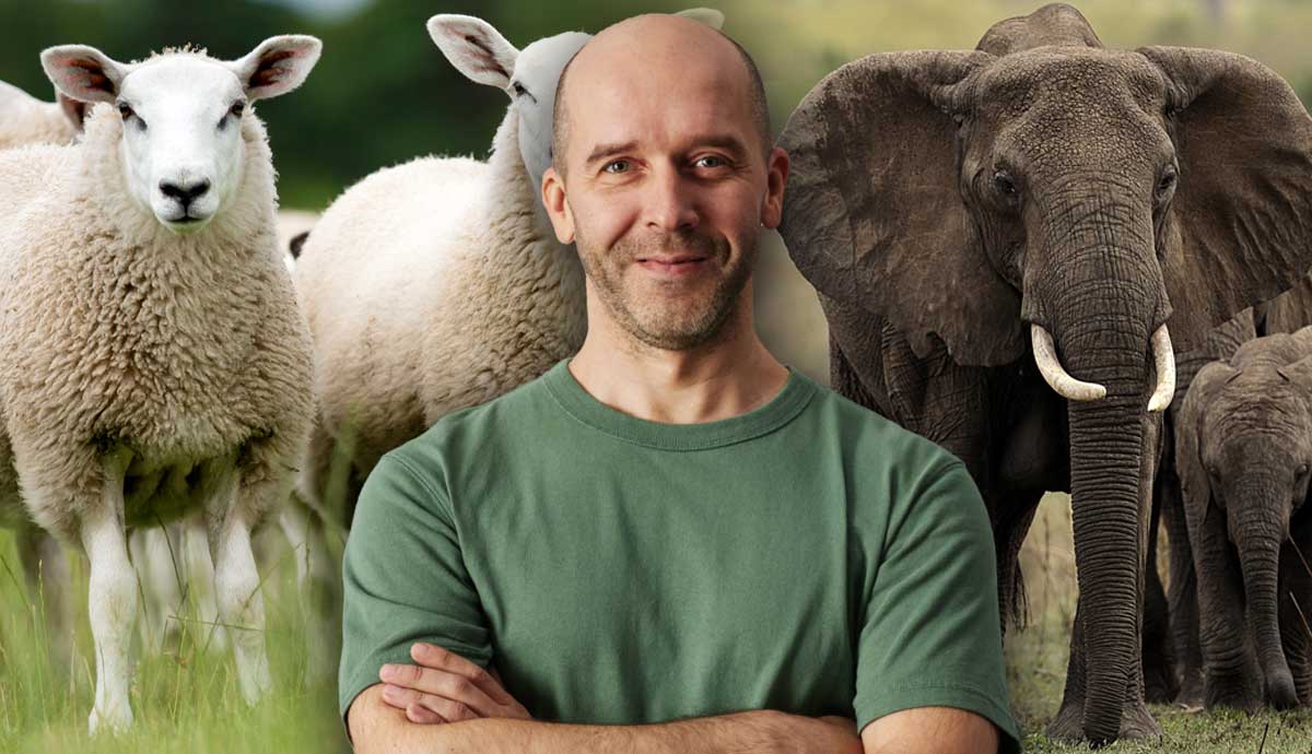 Work With Animals: 20 Great Career Possibilities