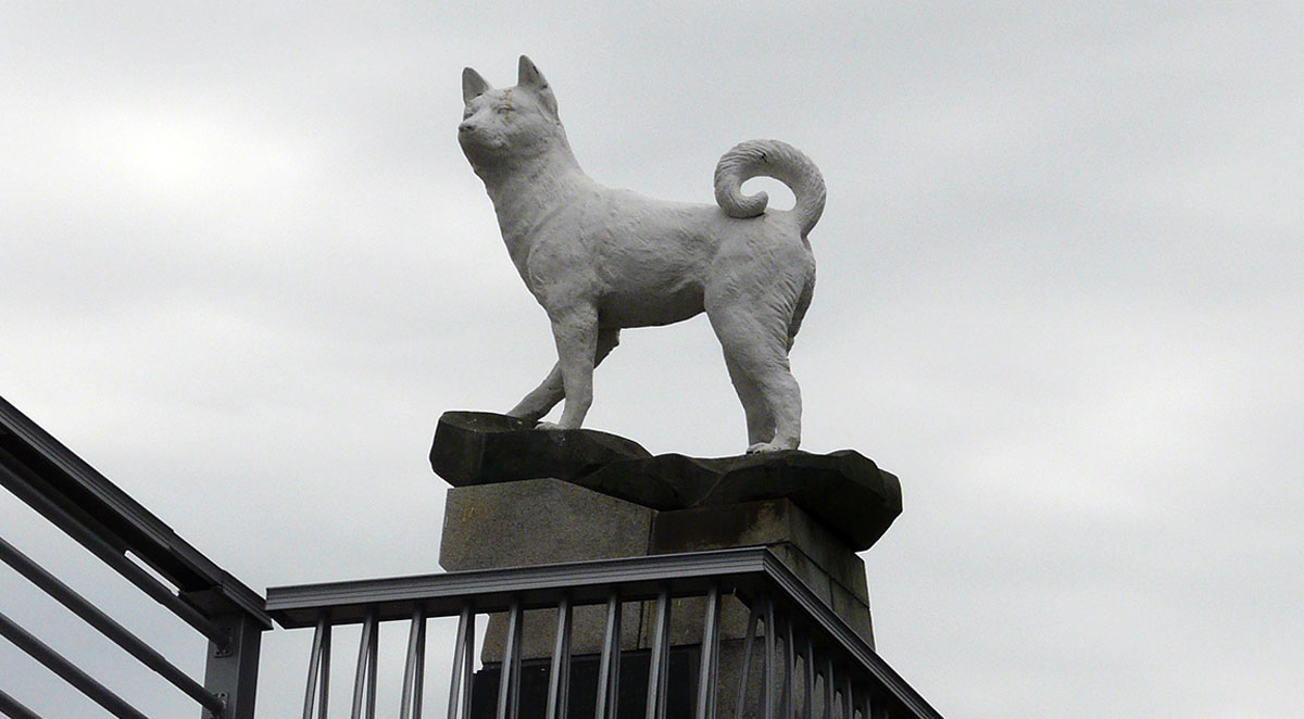 statue of jindo