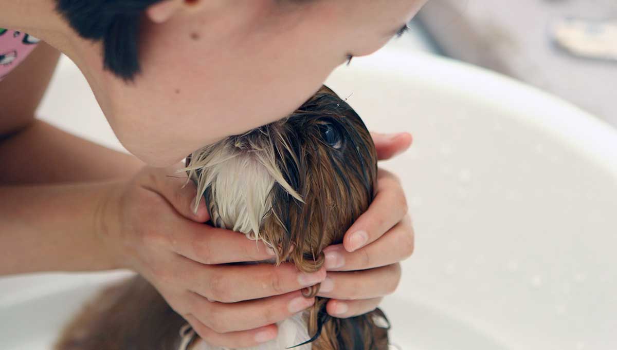 dog in bath