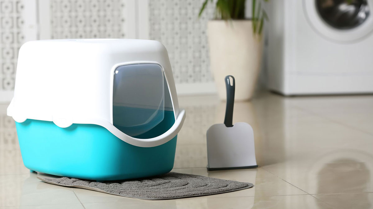 enclosed litter box with scoop