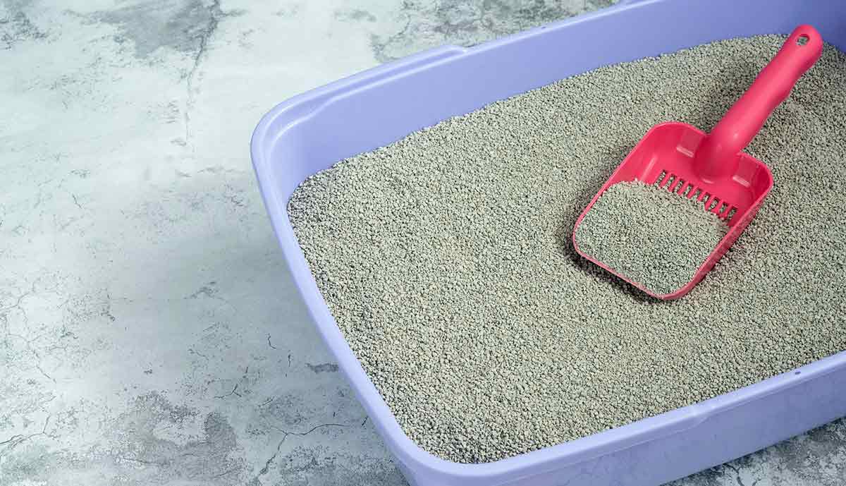purple litter box pink scoop